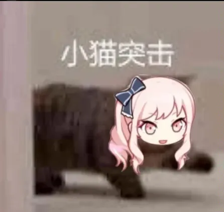 小猫突击.png