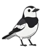 avatar of 漫游者迷路中