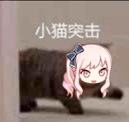 小猫突击
